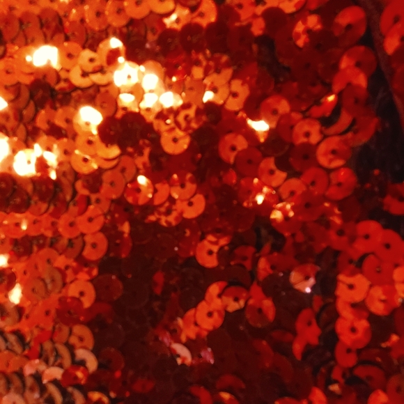 🔥Maner Women’s Full Sequin Glitter Party Blouse Size 4X🔥 - Picture 6 of 6